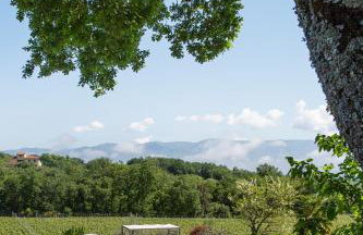 Luxury Chianti Countryside Villa with Pool VILLA BELLA LISA - Foto 44
