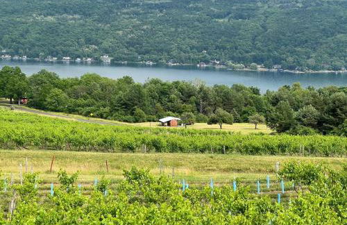 Finger Lakes Apartment - Photo 19