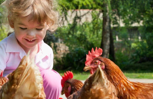 Visita a la estancia Santa Bárbara - Foto 1