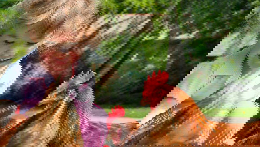 Visite de la ferme de Santa Bárbara - Photo 1, Visite de la ferme de Santa Bárbara