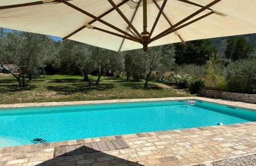 Uliveto Benedetti - Foto 8