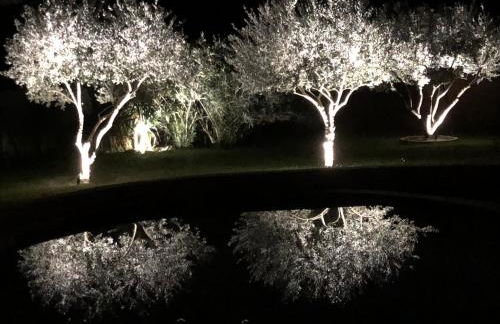 El Sama-In , Piscine chauffée - Photo 40