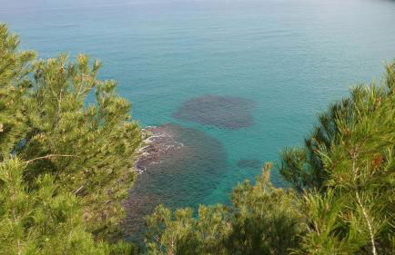 SA RIERA Begur, 200 m walk to sa Riera beach - Foto 48