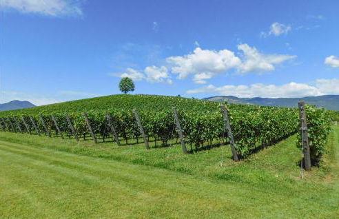 2 Bedroom Amazing Home In Orentano - Foto 8