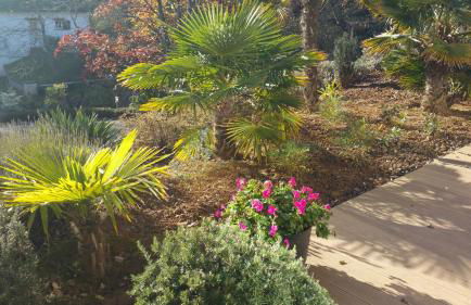 Villa les Agapanthes avec piscine et SPA chauffée dans votre appartement - Foto 31