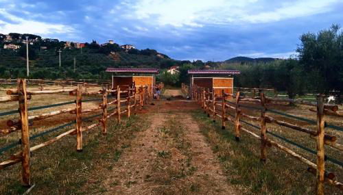 Agriturismo Quattro Pini - Foto 4