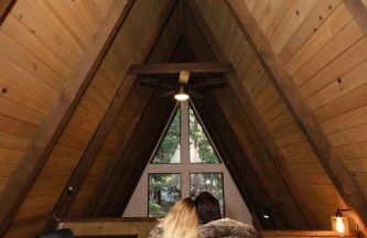 Dogwood Peak Mid-Century A-Frame with AC Style - Foto 36