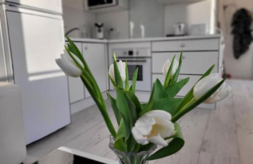 HippoLits - Photo 68