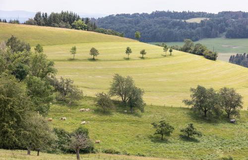 WÄLDER: Quartier Bierbronnen - Foto 12