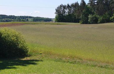 Domek Letniskowy ZŁOTY KARAŚ - Foto 19