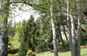 Ferienhaus Harzblick - Foto 23