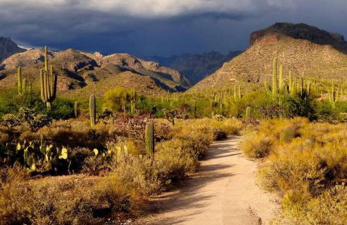 Tucasa - Private Backyard Resort - Theater - Foto 56