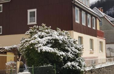 Haus am Fluss mit wunderschöner Dachterrasse mit Flussblick ,Garten und Grill - Foto 3