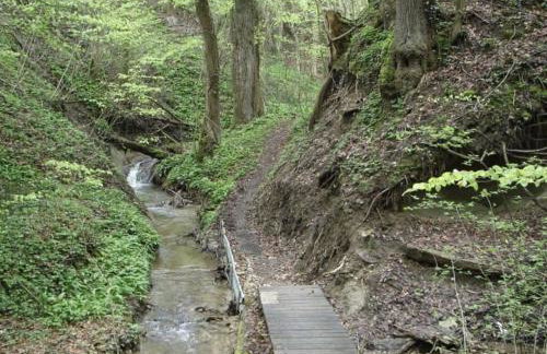 Pleasant Apartment With Terrace - Foto 38