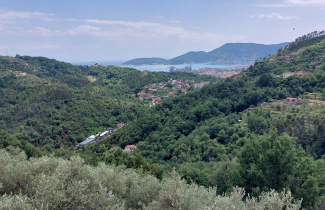 Oliva Azzurra - Foto 18