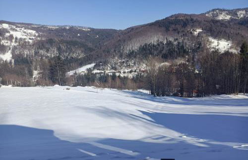 Przystanek Bystra - Foto 15