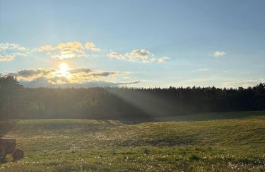 Agroturystyka Żółta Ostoja - Foto 30