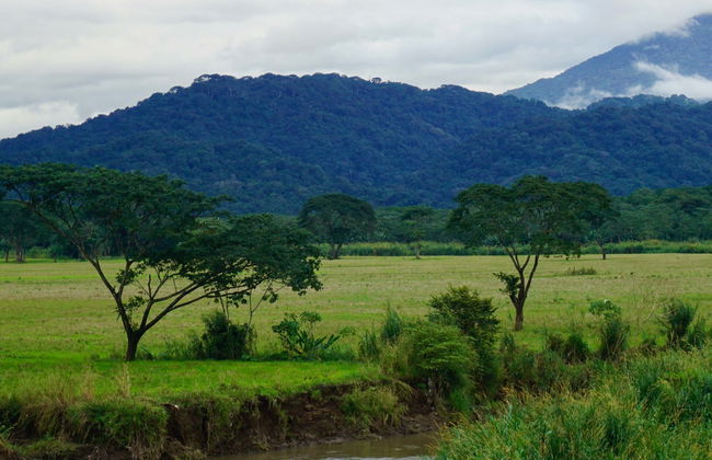 Excursion au parc national de Carara - Photo 1