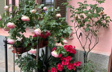 Maison des Artistes - Photo 7