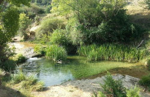 Biosfera Suites - Foto 16