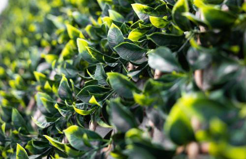 4BR House By Travel Lets Self Catering Accommodation Ballygowan With Near Belfast - Foto 59