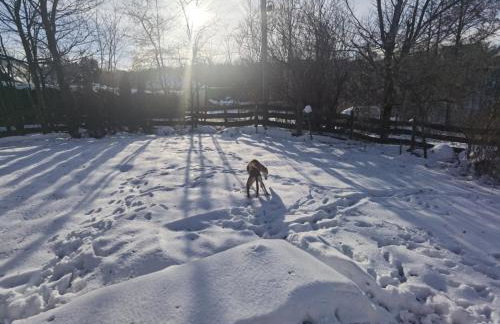 1Bed Apartment - Sleeps 4 - Terrace Pets Parking - Foto 7