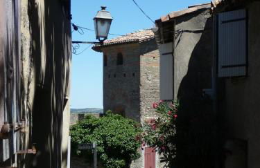 Le Logis des Remparts à l'intérieur de la Cité médiévale, Jardin privé, Parking inclus - Foto 7