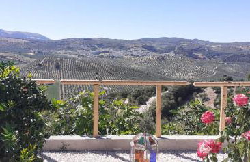 Cortijo Rural Buenavista Montefrio - Foto 16