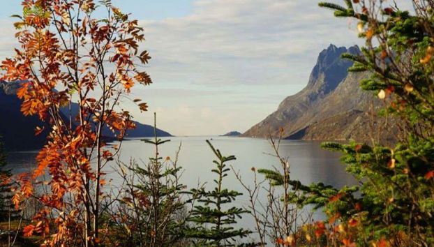 Bellissimi paesaggi nel tragitto