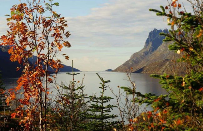 Tour panoramico dei fiordi norvegesi in Tesla - Foto 3