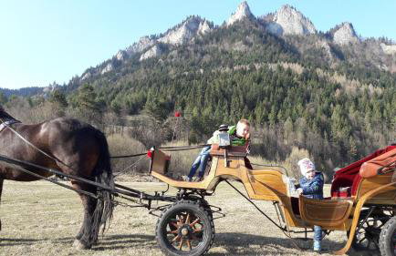 Pokoje u Pitera - Foto 21