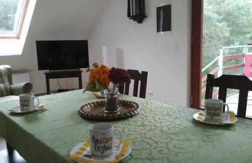 Koci Grzbiet Agroturystyka - Foto 3