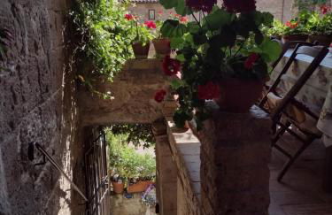 Gerani Rossi - Foto 33