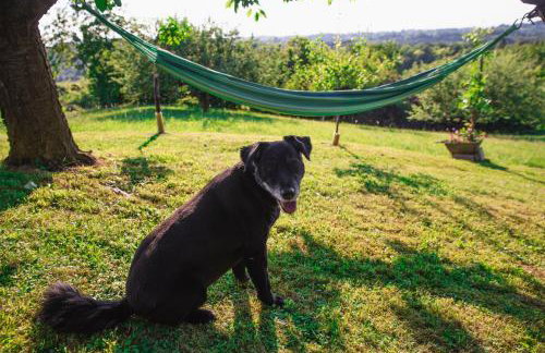 KUĆA ZA ODMOR JURINO GNIJEZDO - Foto 25