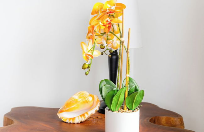 Canavida Villas & Resort - Foto 38