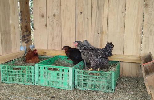 Cocon familial à la ferme - Foto 26