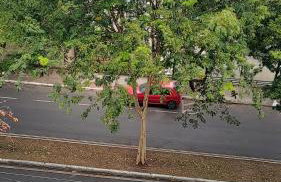 Quarto-Sala 550 mts Praia Camburi e Próximo Universidade UFES - Foto 18