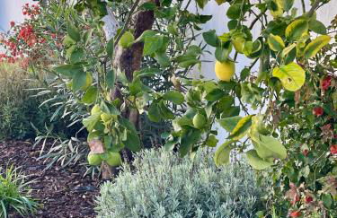 grande maison familiale centre village - Photo 17