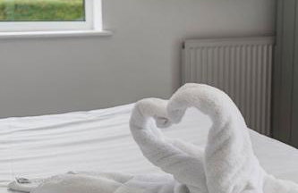 Tor Cottage -No Commercial Sign written Vehicles, Private Hot Tub , 2 Dogs Max,Fishing Nearby & Communal Swimming Pool ,Pool open April to September - Foto 37