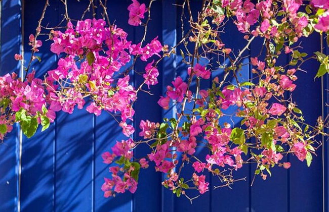 Lo más destacado de Mykonos - Tour privado de medio día - Foto 2