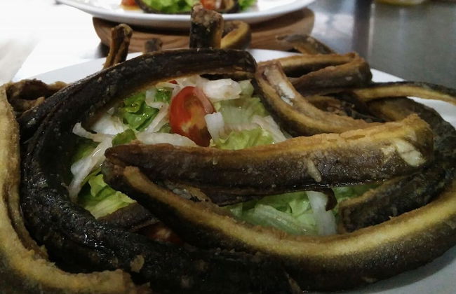 Casa do Cribeiro - Photo 29