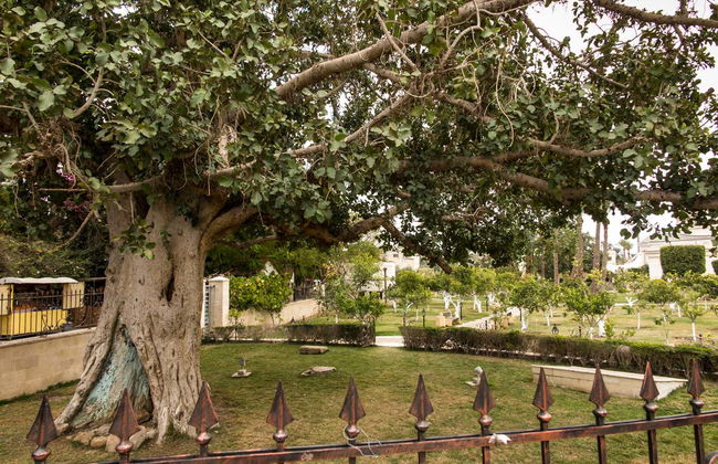 Bethlehem & Jericho Day Trip - Photo 2