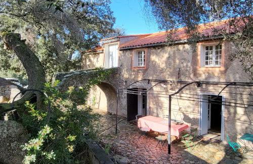 Le Moulin de l'Ostriconi - Foto 4