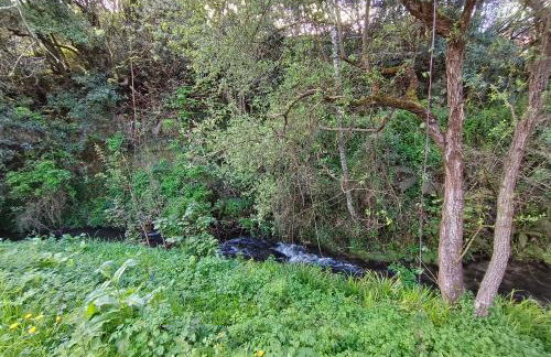 Apartamentos MinusKa con jardin y a tan solo 10 min andando a Llanes - Foto 75