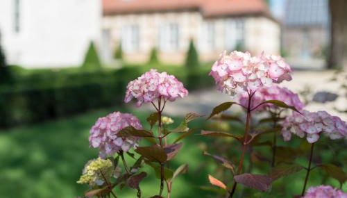 Schloss Beuchow - Foto 4, Garden