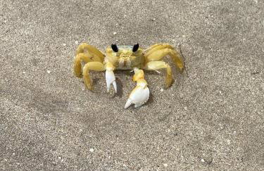 Casa OKA X (09) - Foto 57