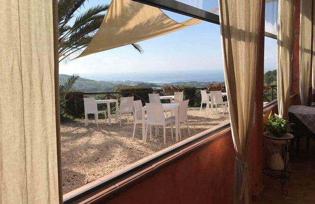 I Cardinali - Foto 43