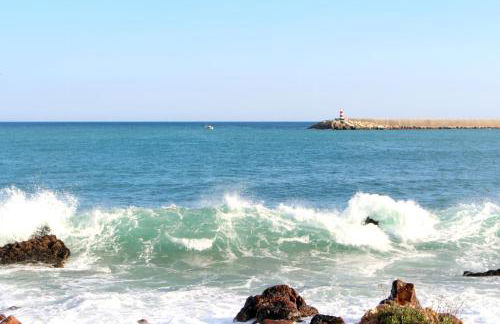 Casa Marreiros Holiday Home - Foto 32