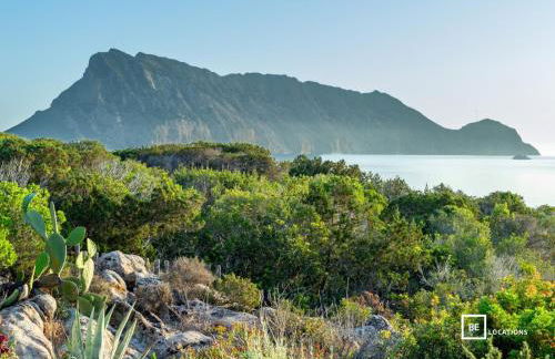 BeLocations - Villa MARENGO - Foto 39