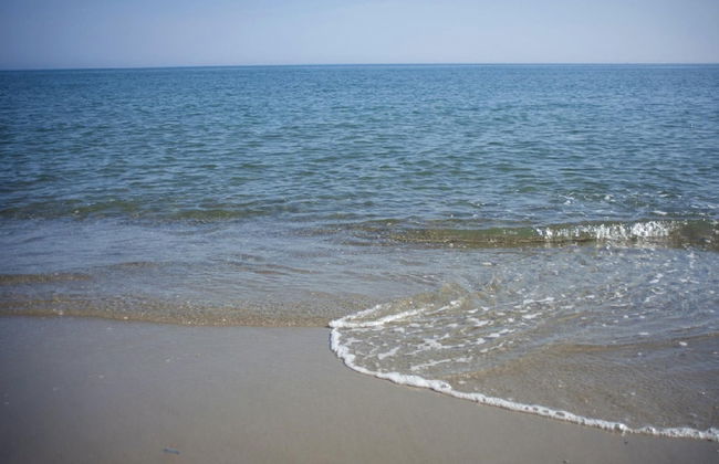 Caretta Beach - Foto 47